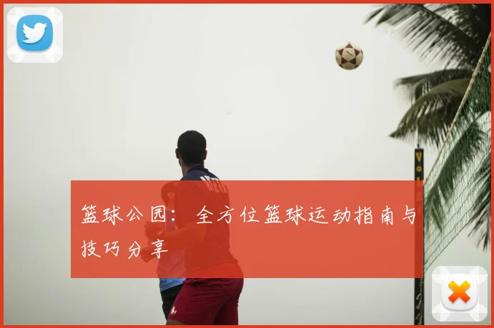 篮球公园：全方位篮球运动指南与技巧分享
